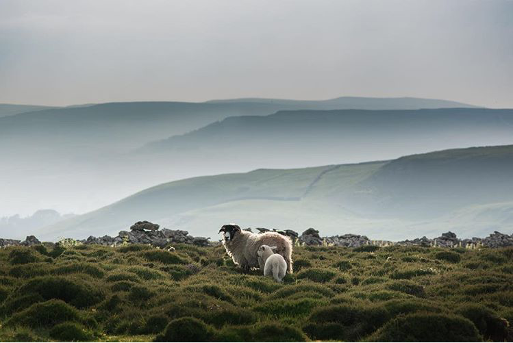 Yorkshire Dales by James Allison, submitted as part of our hidden treasures photo competition