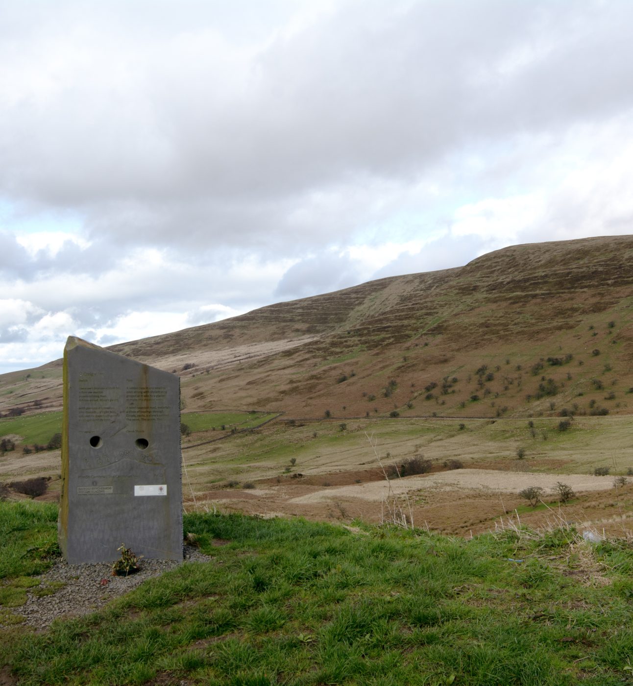 Libanus in Bannau Brycheiniog