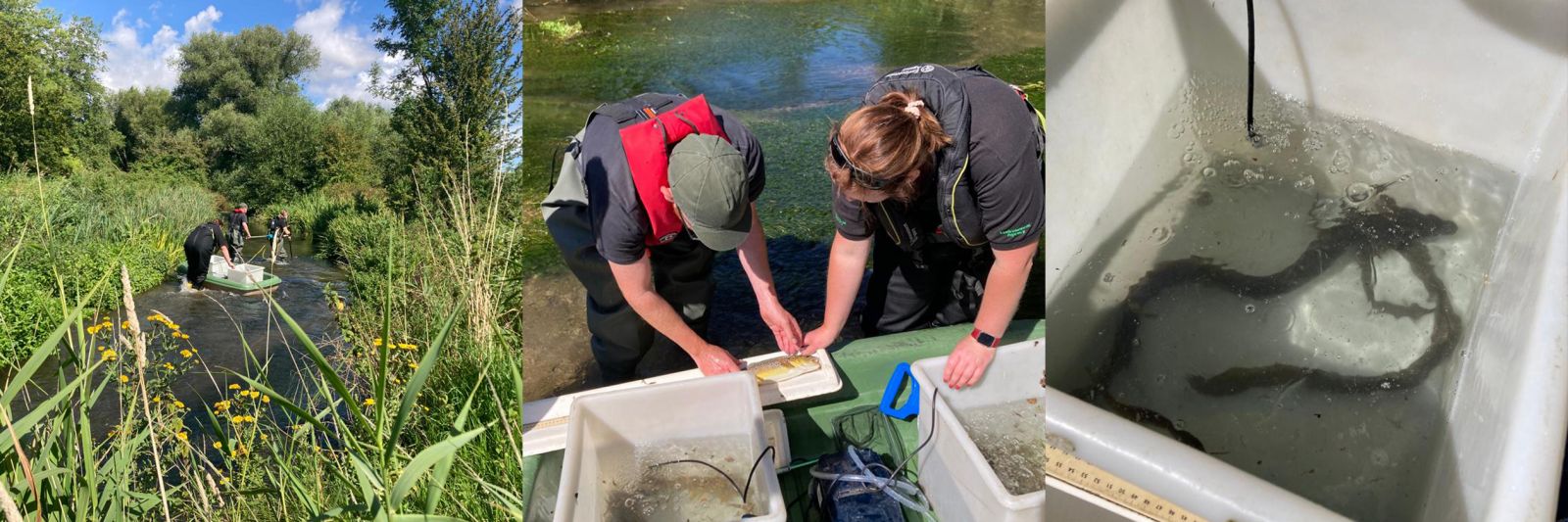 river monitoring