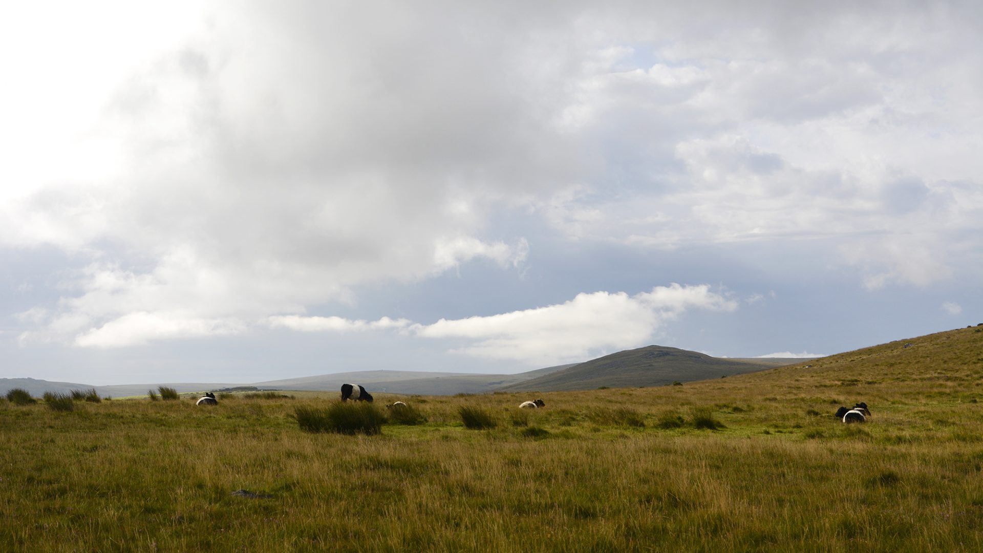 Ockerton Court in Dartmoor
