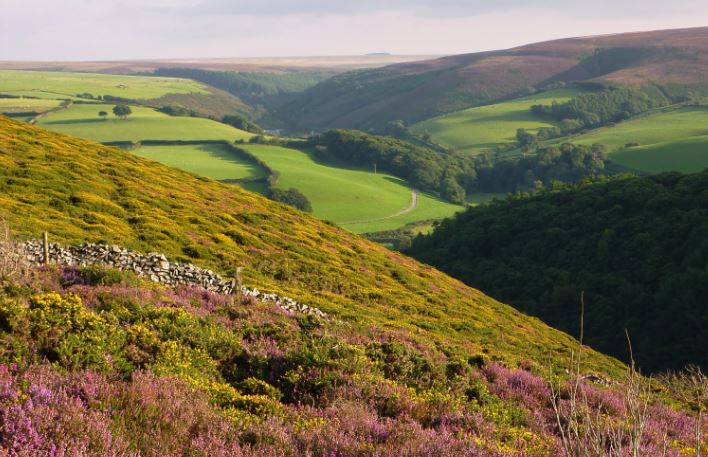 Doone Country In Exmoor National Park by John Starkey