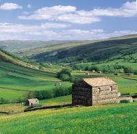 Field barns in the Yorkshire Dales