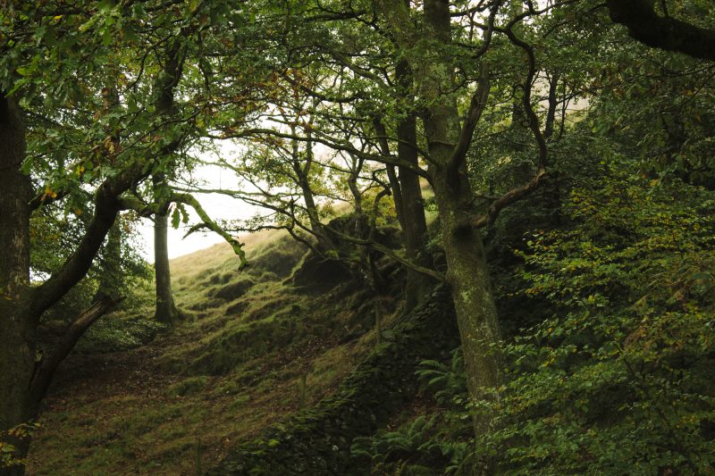 Grassmere in the Lake District