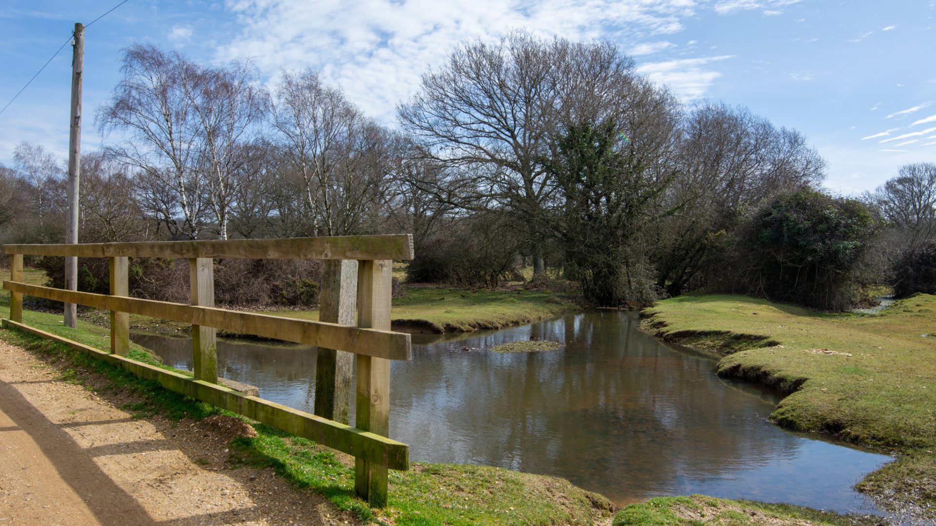 Brokenhurst in the New Forest