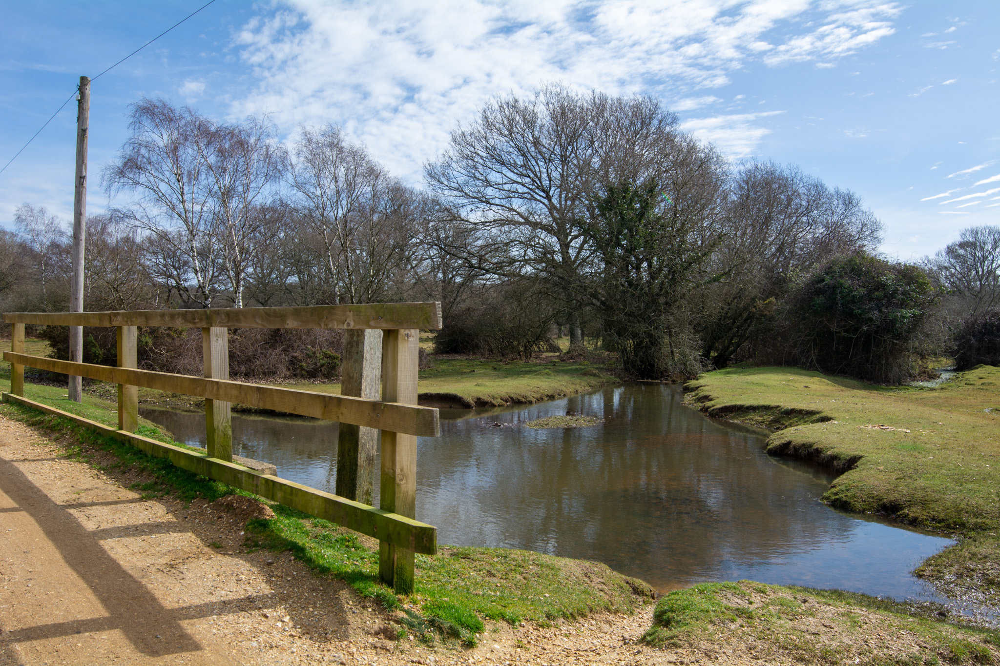 Brokenhurst in the New Forest