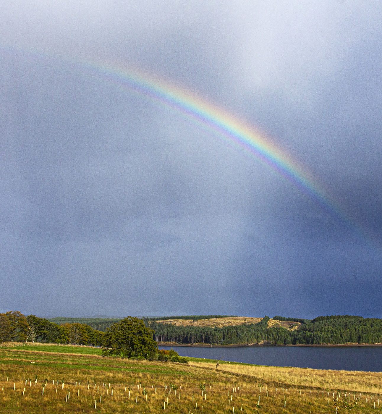 Kielder Water in Northumberland