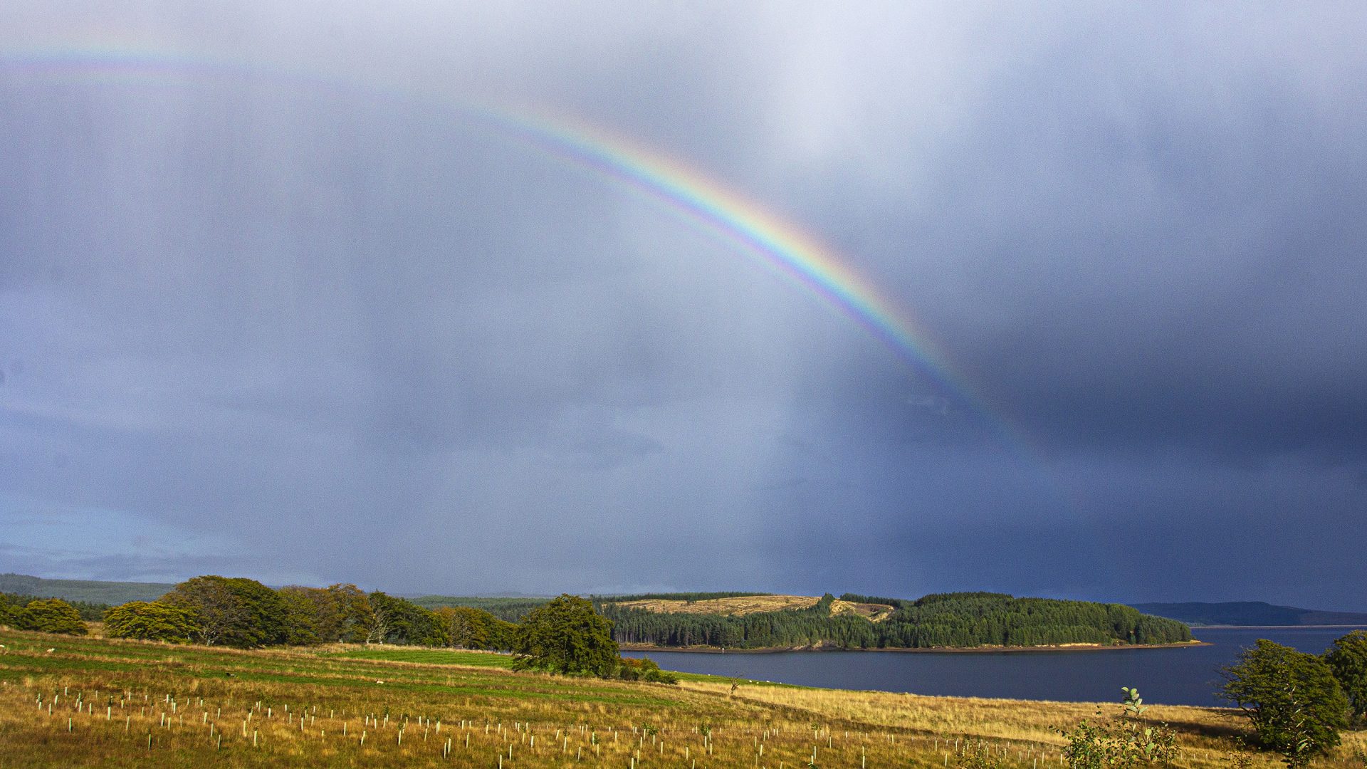 Kielder Water in Northumberland