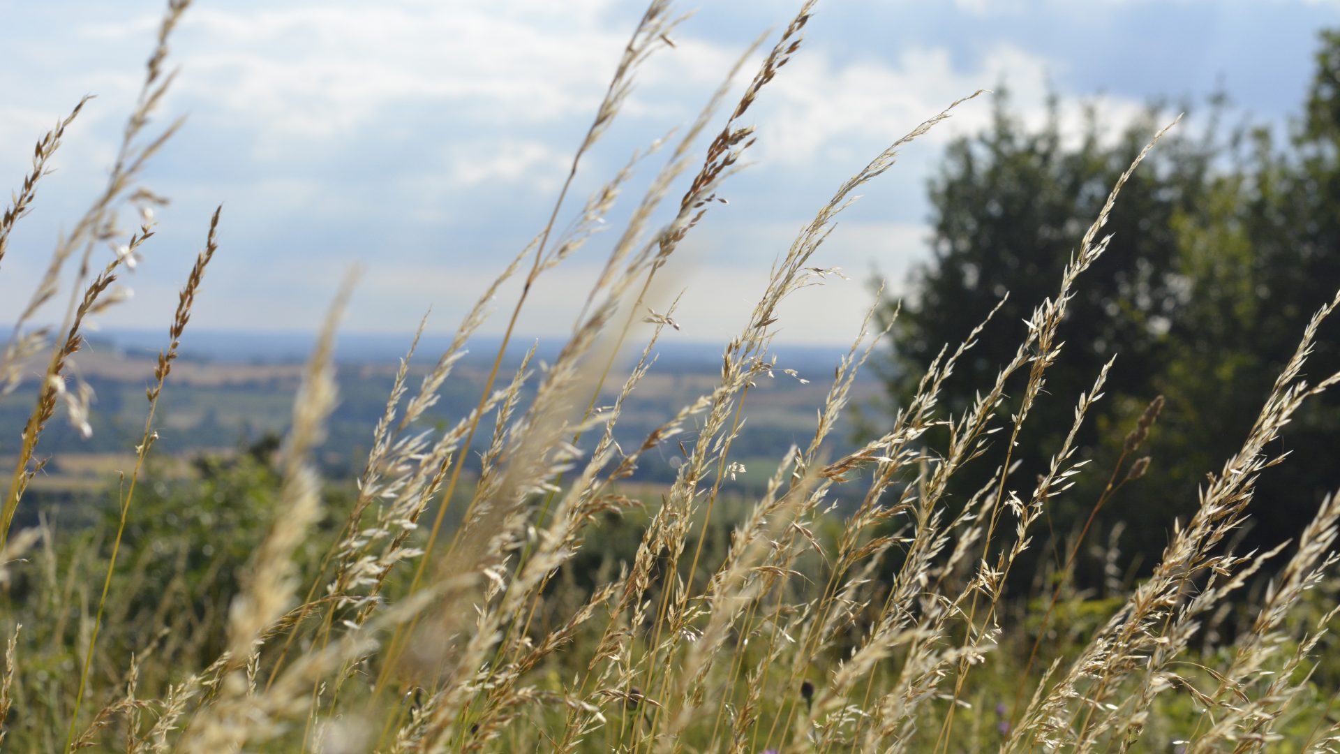 Old Winchester Hill