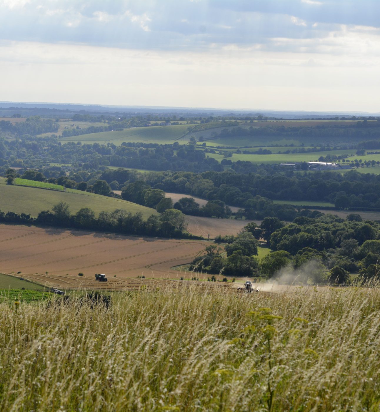 Old Winchester Hill