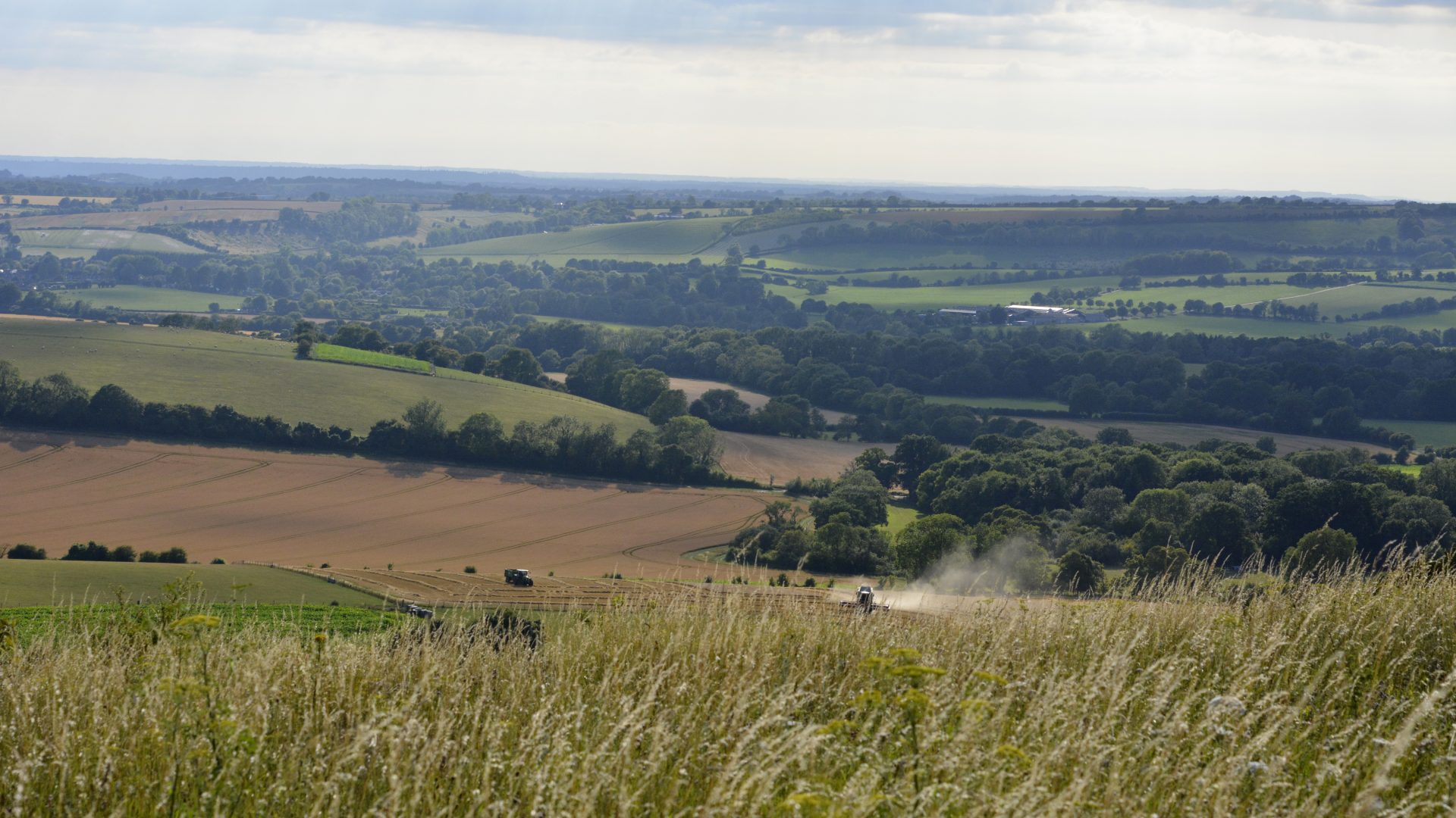 Old Winchester Hill