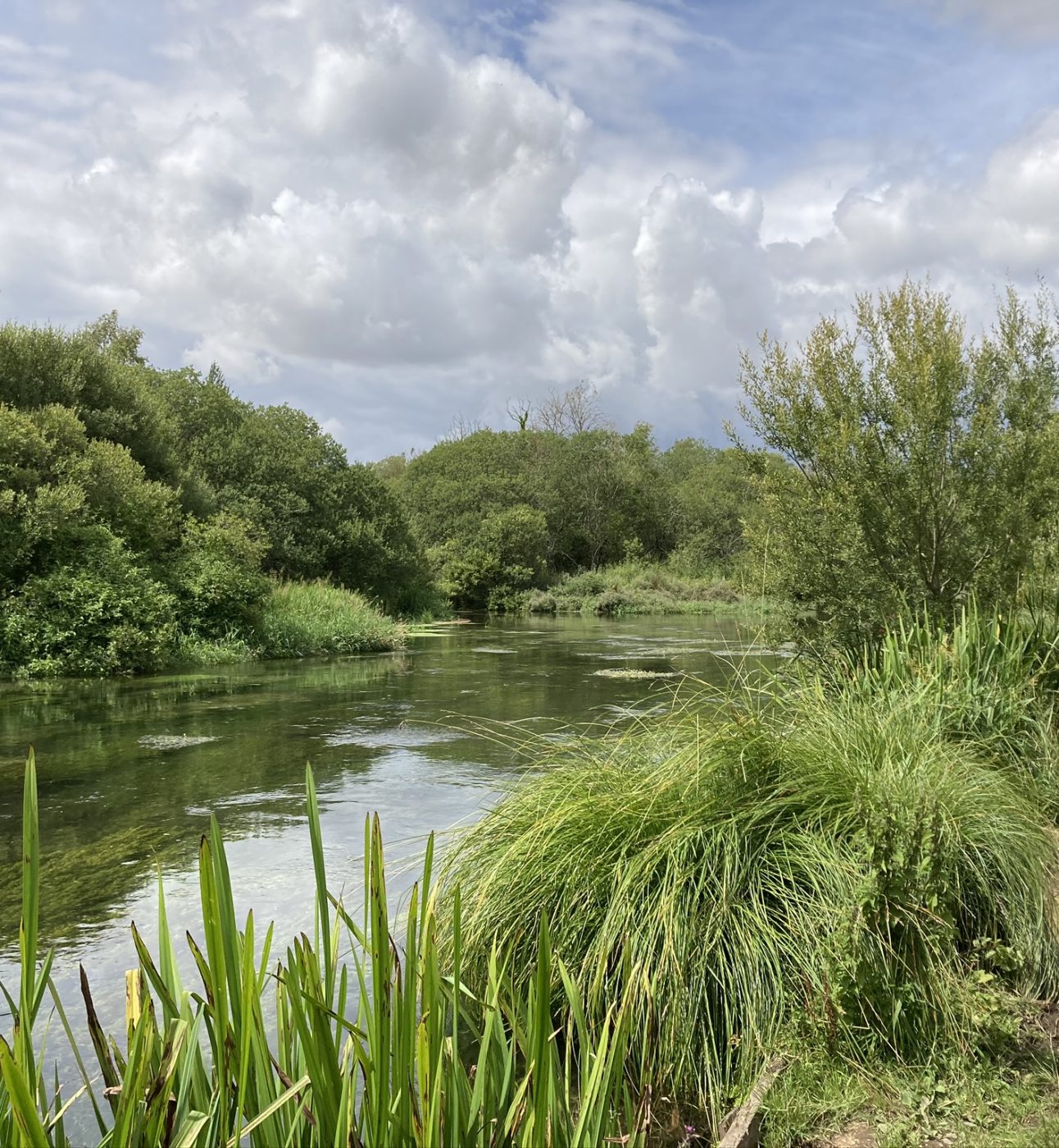 River Itchen