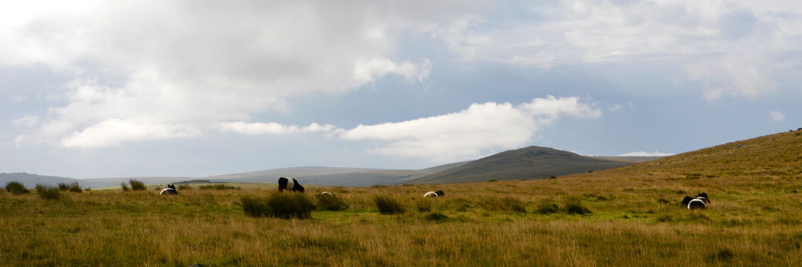 Dartmoor