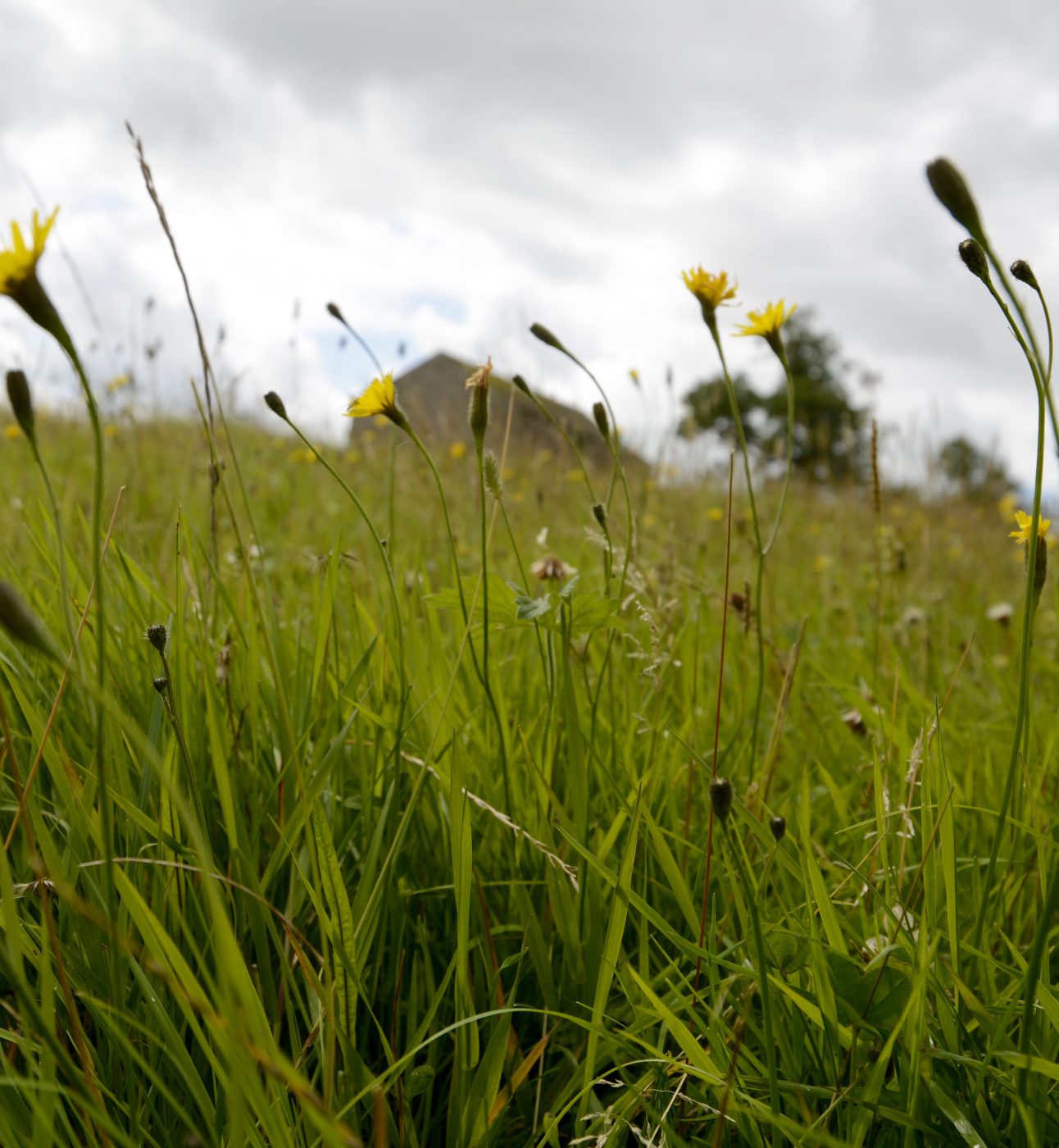 Hill Top Farm in the Yorkshire Dales