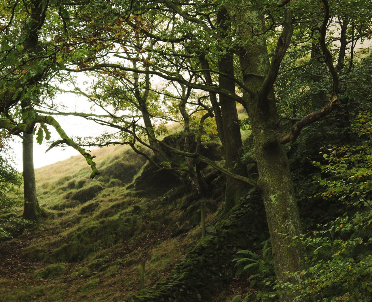 Grassmere in the Lake District
