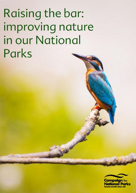 Our new report looking at how to improve nature in our National Parks