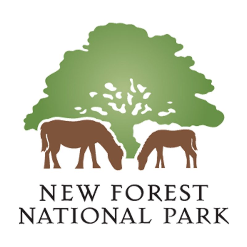 New Forest National Park