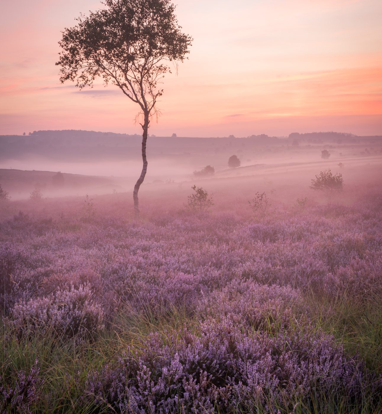 Peak District