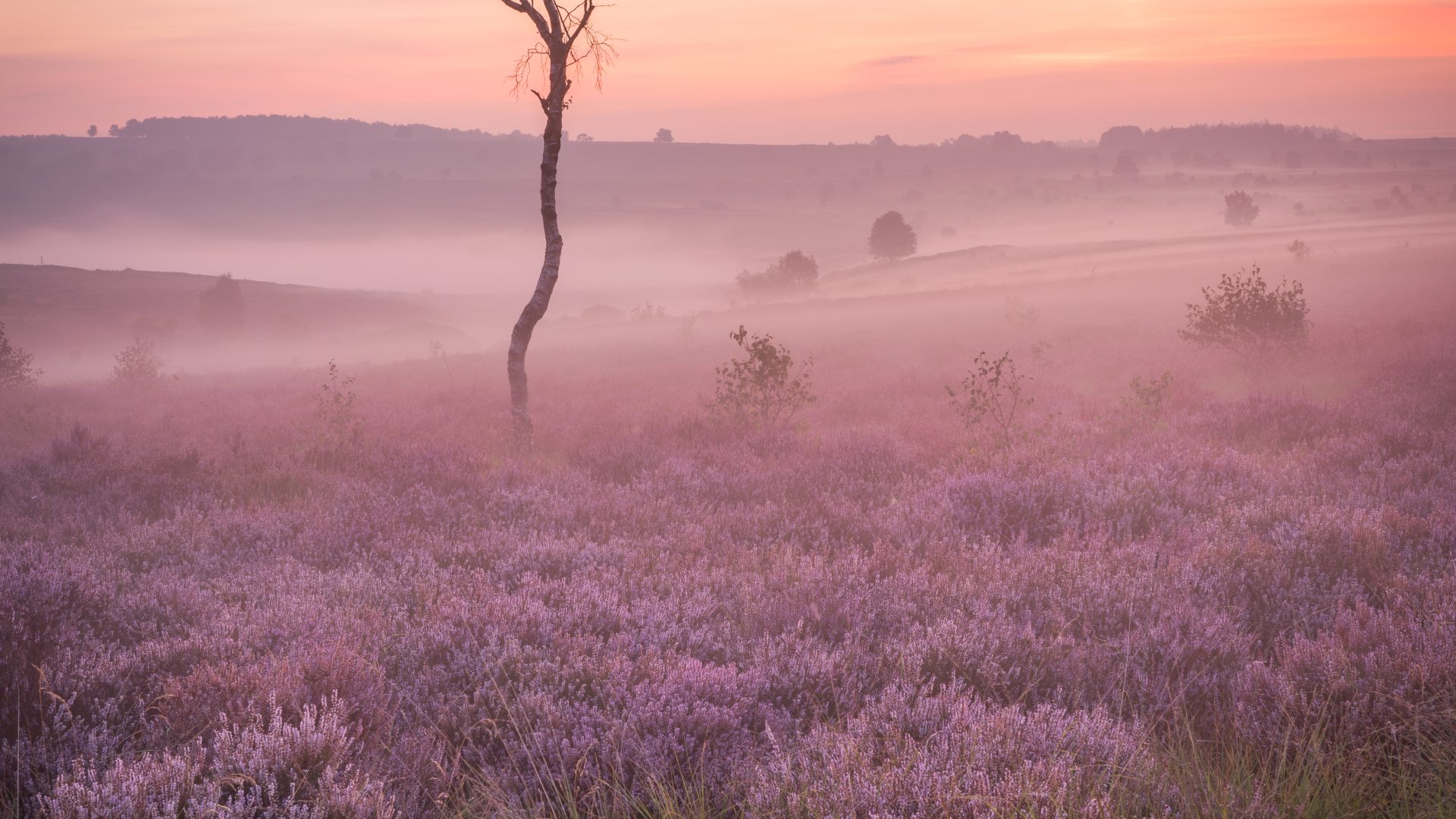 Peak District