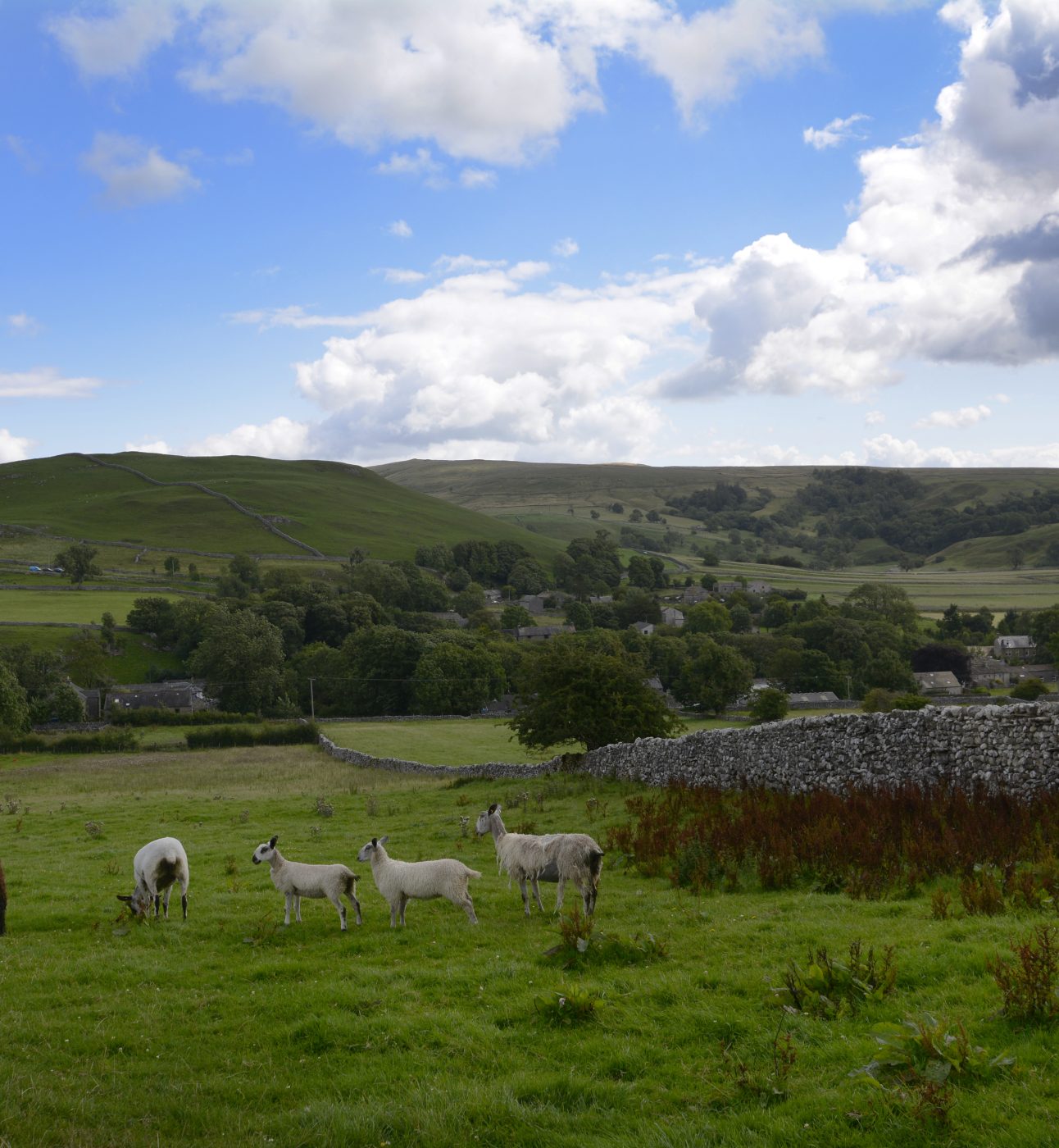 Hill Top Farm