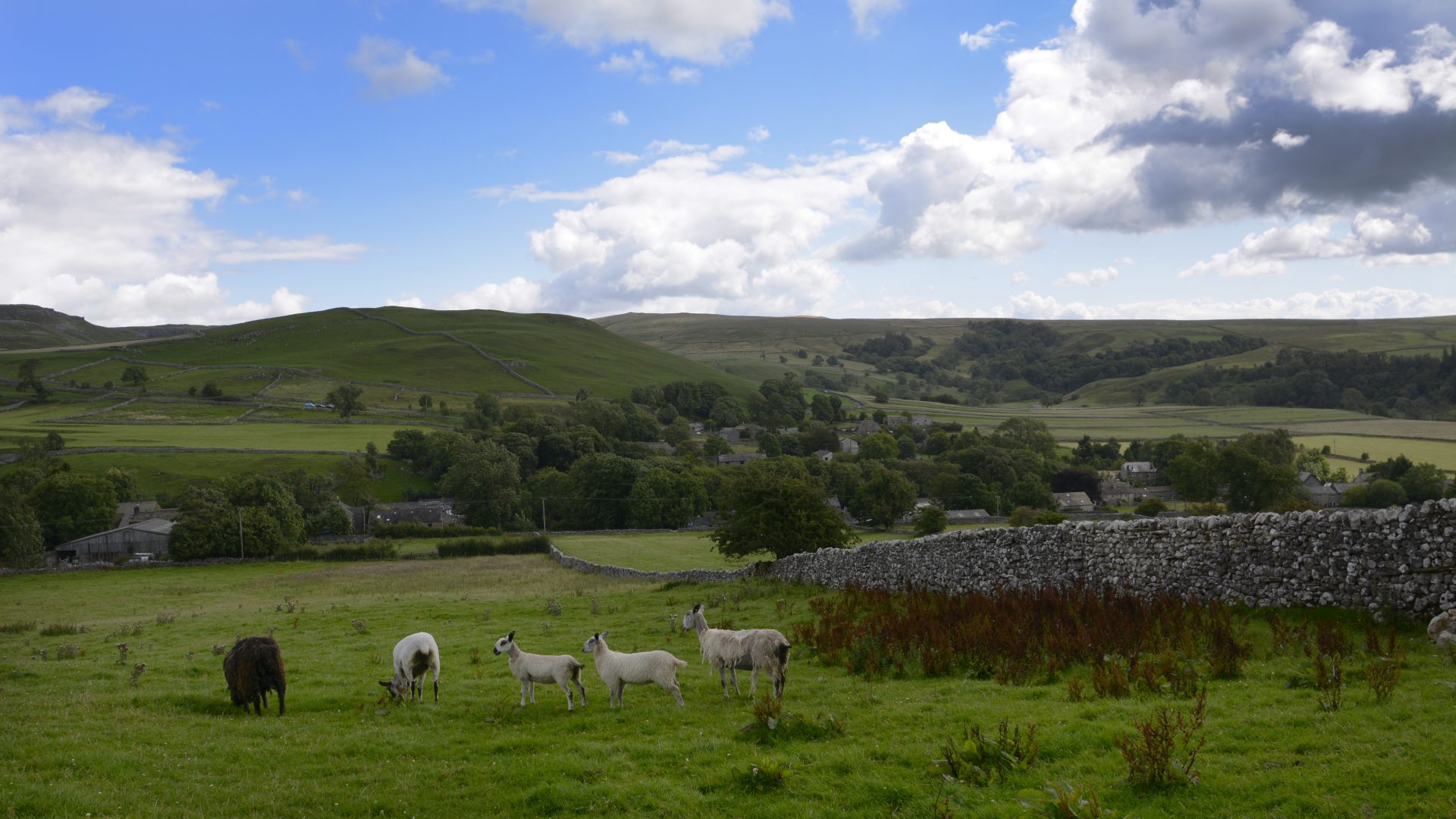 Hill Top Farm