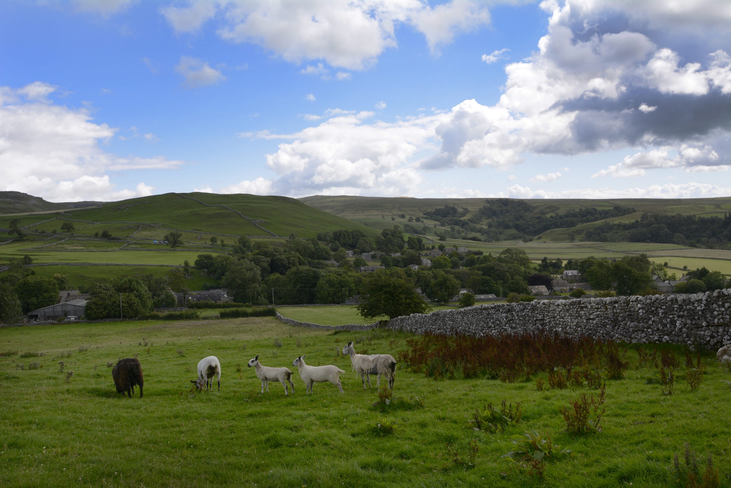 Hill Top Farm