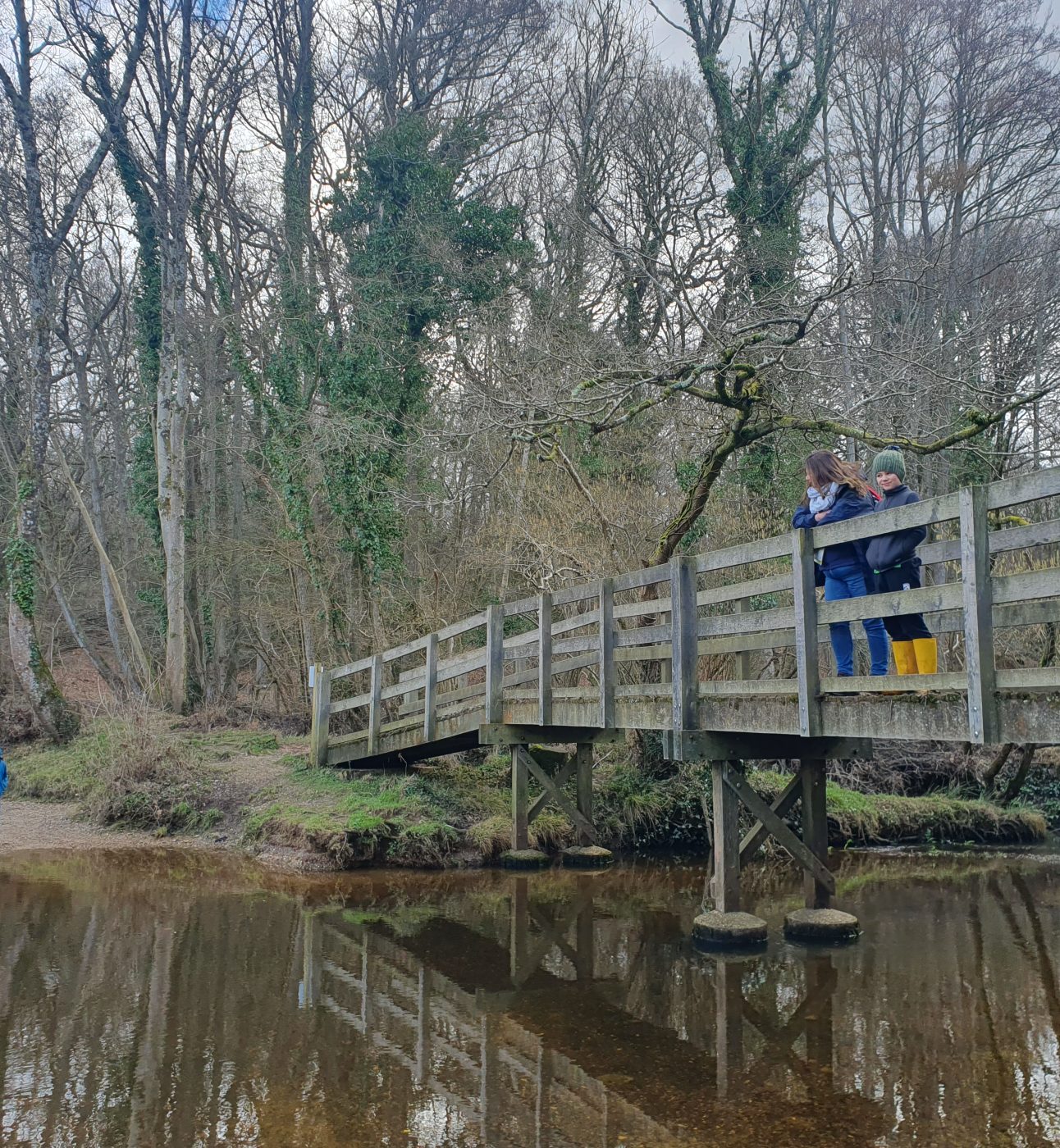 Roydon Woods