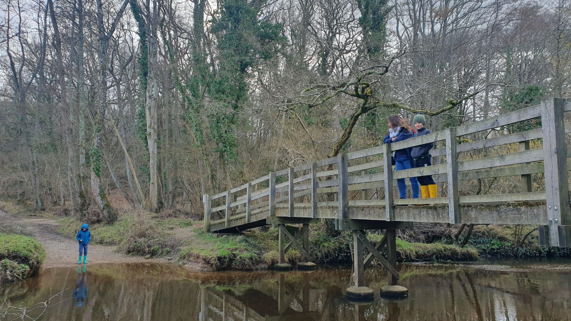 Roydon Woods