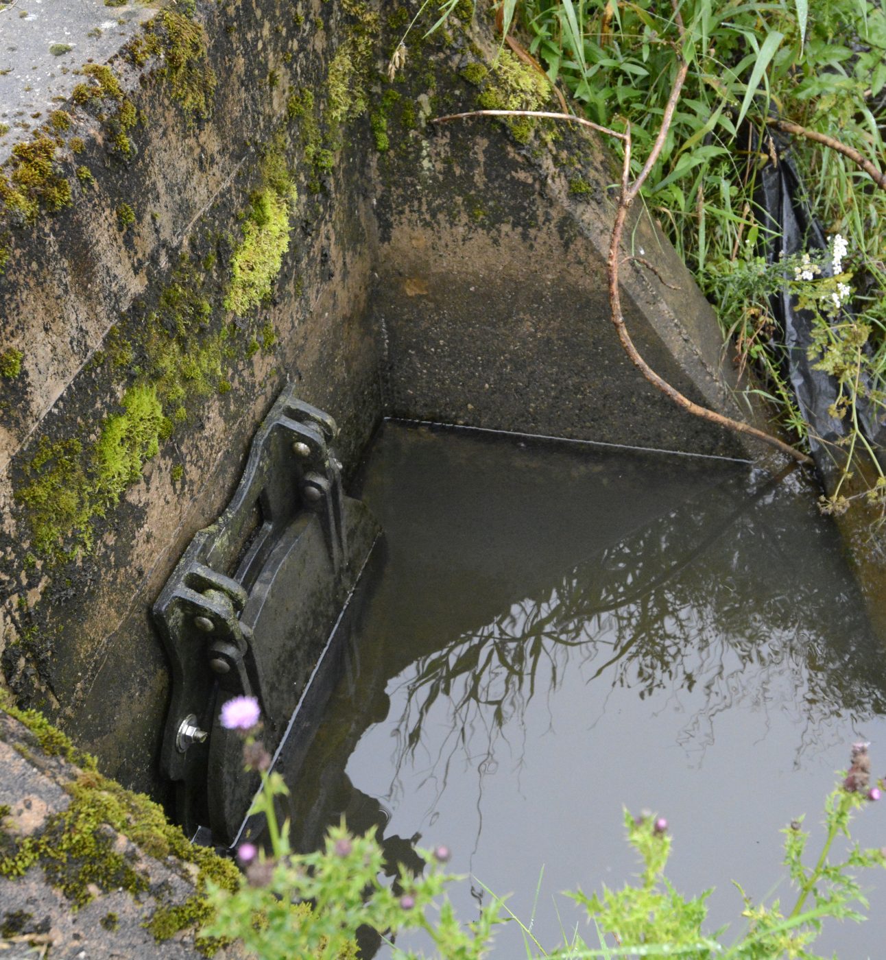 Sewage outlet at Sawrey Waterwater Treatment Works