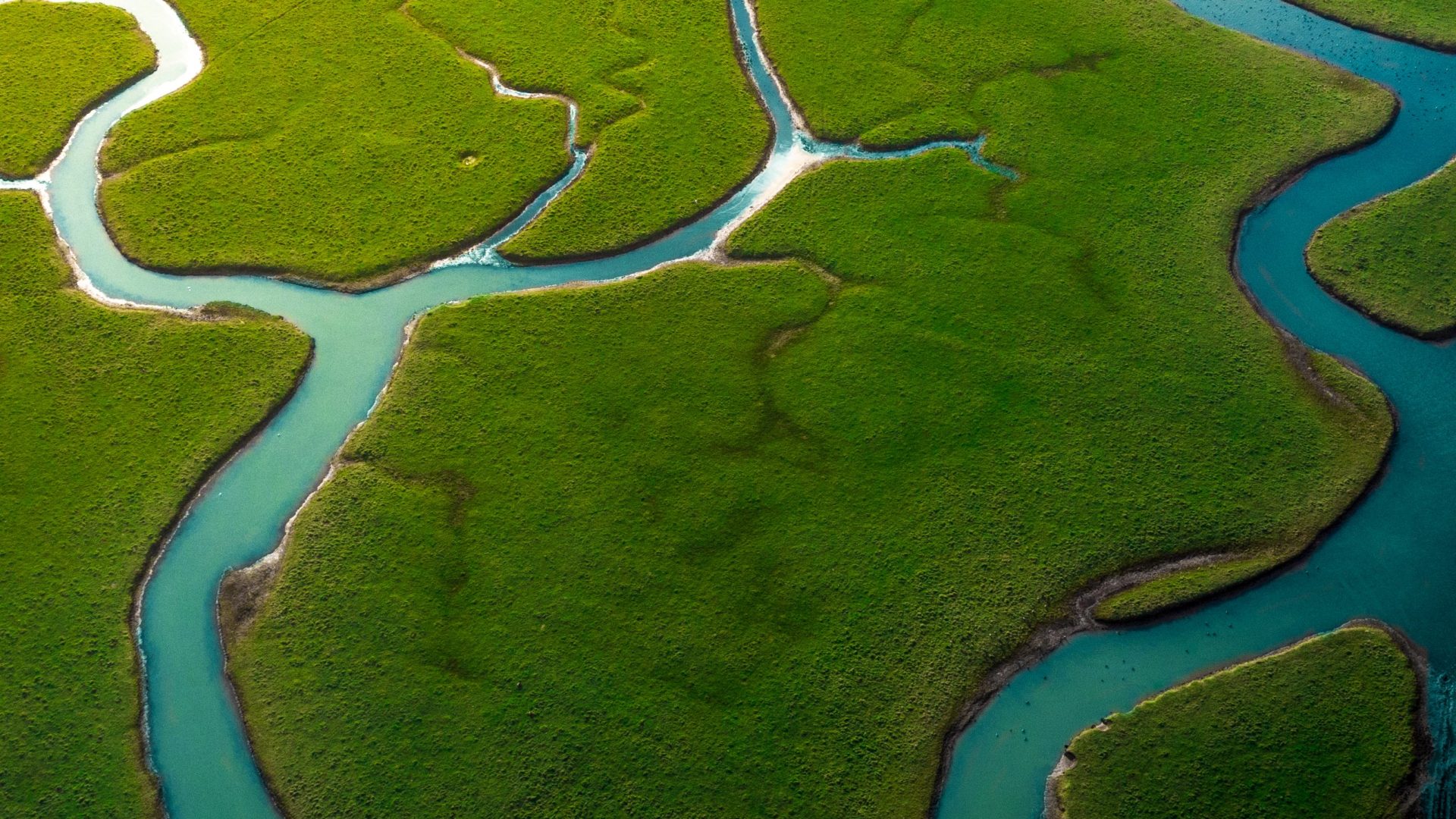 Cuckmere River