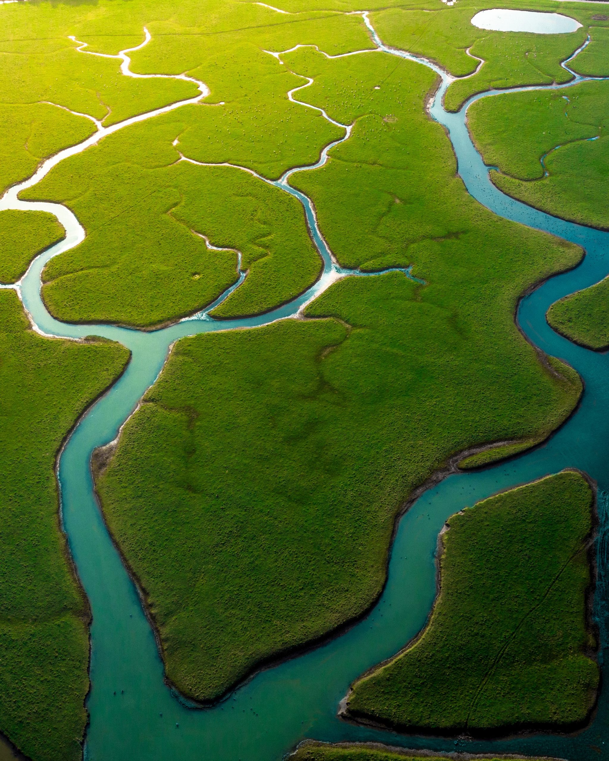 Cuckmere River