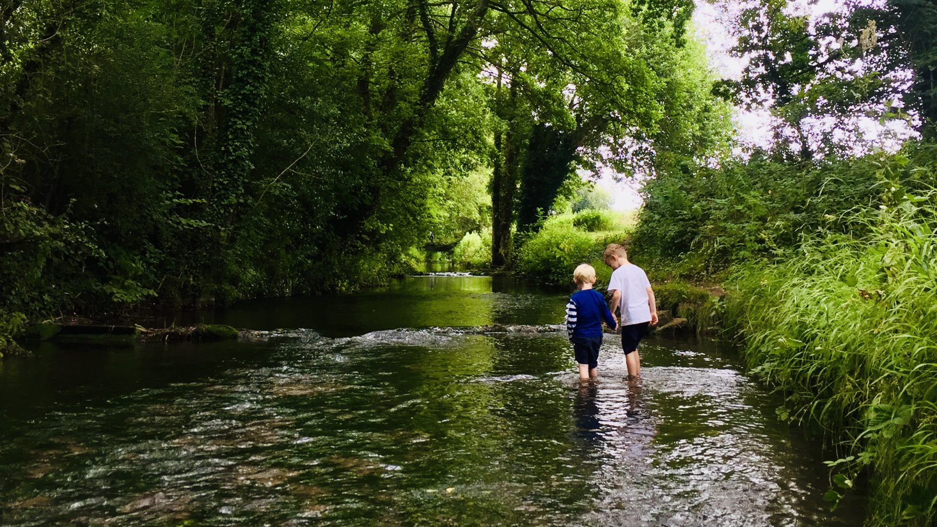 River Meon